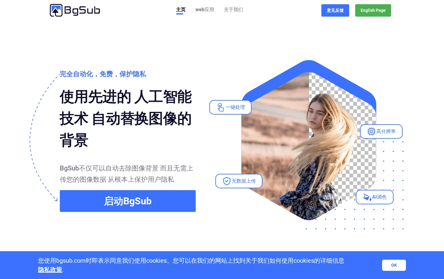 BgSub 页面快照